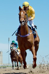 Toronto Ontario,May 13, 2018.Woodbine Racetrack.New Providence Stakes,reigning horse of the year, Pink Lloyd under Jockey Eurico Da Silva, capture the $100,000 dollar stake at Woodbine.Pink Lloyd owned by Entourage Stable and trained by Robert Tiller,capture 10th stake race in a row. michael burns photo