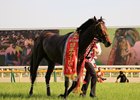Wagnerian after winning the second leg of the Japanese Triple Crown at Tokyo Racecourse