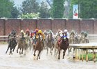 Record wagering at Churchill Downs during the week of the Kentucky Derby Presented by Woodford Reserve (G1) have enabled Churchill Downs to increase overnight purses
