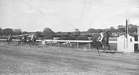 Citation wins the 1948 Preakness Stakes