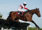 Zanjabeel clears the final hurdle en route to a victory in the Iroquois Stakes at Percy Warner Park