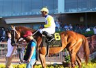 Bee Jersey heads to the winner's circle after winning the Steve Sexton Mile by 5 1/2 lengths at Lone Star Park