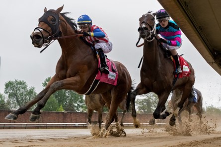 American Gal wins The Humana Distaff at Churchill Downs on May 5th 2018, jockey Jose Ortiz up