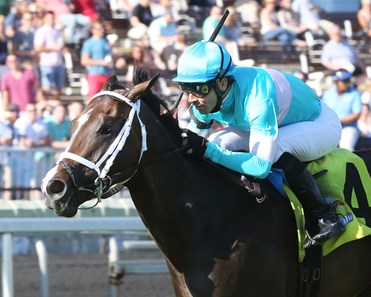 Ezmosh wins the 2018 Arlington Classic