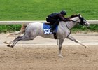 A Tapit colt consigned as Hip 538 breezes an eighth-mile in :10 1/5