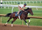 Quip, with trainer Rodolphe Brisset up, works May 13 at Keeneland
