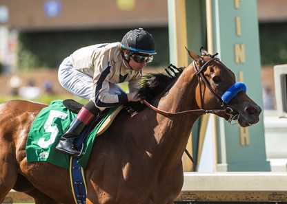 Marley's Freedom wins the 2018 Desert Stormer Stakes (G3)