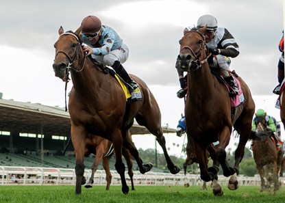 DP Racing's Sophie P and jockey Kent Desormeaux, left, battle Madame Stripes (Rafael Bejarano), right, to win the G1 $300,000 Gamely Stakes Saturday, May 26, 2018 at Santa Anita Park, Arcadia, CA.