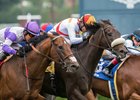 Soi Phet (white shadow roll) wins the Crystal Water Stakes at Santa Anita