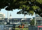 Justify gallops May 25 at Churchill Downs