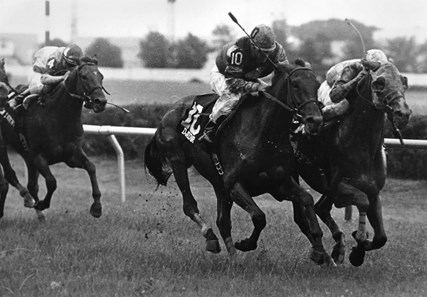 Pappas Swing, inside, with Edgar Prado, defeats Djedor to win the Hawthorne Derby (G3T) at Hawthorne Race Course on July 16 1988