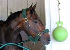 Bolt d'Oro April 30 at Churchill Downs