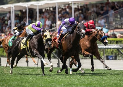 Reddam Racing's Blame the Rider and jockey Mario Gutierrez, second from left, overpower La La Land (Joseph Talamo), left, and Move Over (Tyler Baze), right, to win the $100,000 Singletary Stakes, Saturday, May 5, 2018 at Santa Anita Park, Arcadia CA.