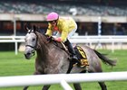 A Raving Beauty soars clear under Irad Ortiz Jr. to win the Beaugay Stakes at Belmont Park