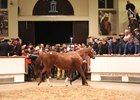 Hanky Panky, Lot 2011, sold for 2.7 million guineas (US$4,268,376) Dec. 1.