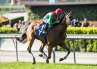 Belvoir Bay wins the Monrovia Stakes on the downhill turf at Santa Anita Park