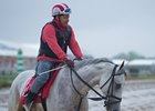 World Approval out for morning exercise at Pimlico Racecourse