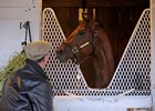 Air France produced multiple graded stakes-winning millionaire Smooth Air (pictured) and grade 2 winner Overdriven