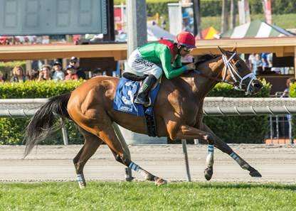 Belvoir Bay wins the 2018 Monrovia Stakes