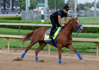 Solomini in the morning at Churchill Downs on 5/3/18.