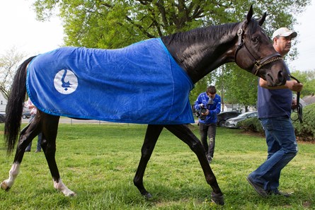 Enticed in the morning at Churchill Downs on 5/3/18.