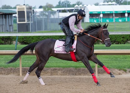 Kentucky Oaks contender Midnight Bisou in the morning of May 3, 2018 at Churchill Downs.