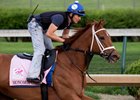 Monomoy Girl training at Churchill Downs