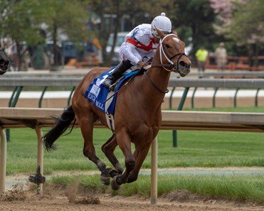 MIa Mischief (white cap), Richardo Santana aboard, leads the field of the The Eight Belles (G2) at Churchill Downs.