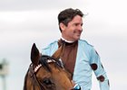 Sophie P and jockey Kent Desormeaux after their victory in the Gamely Stakes