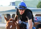 Monomoy Girl heads to the track at Churchill Downs