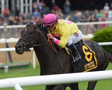 Offering Plan wins 2018 Kingston Stakes at Belmont Park.