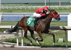 Global Beauty Coco breaks her maiden at Gulfstream Park