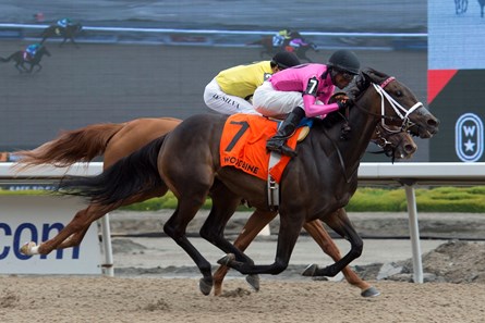 Miss Mo Mentum (Pink silks) under Jockey Patrick Husbands, captures the G3 $125,000 dollar Selene Stakes for owner Gary Barber and trainer Mark Casse