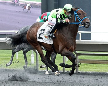 Matrooh wins the 2018 Hanshin Cup