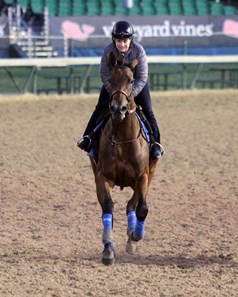 Abel Tasman on the track at Churchill Downs on May 1, 2018
