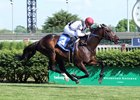 Vettori Kin wins the 2018 Louisville Handicap