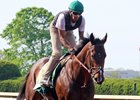 Bolt d'Oro gallops at Keeneland, where he has been training since finishing 12th in the Kentucky Derby