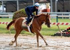 Good Magic gallops May 15 at Pimlico Race Course