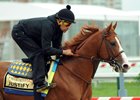 Justify with exercise rider Humberto Gomez at Pimlico Race Course