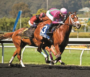 The Lieutenant with jockey Tyler Conner win the All American (Grade III) 100,000 Guaranteed with a time of 1:36.60. Trained by Michael W. McCarthy.
Photo Credit: Shane Micheli/ Vassar Photography
Shane Micheli
Vassar Photography