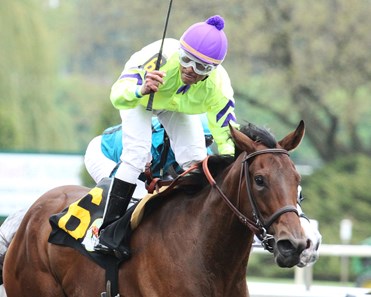 Princess La Quinta wins the 2018 Arlington Matron Stakes