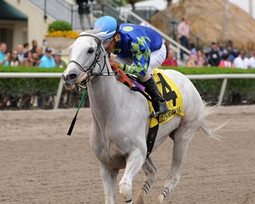 Mr. Jordan wins the 2018 Big Drama Stakes