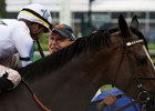 Jose Ortiz is congratulated by WinStar Farm's Elliott Walden after winning the Turf Classic with Yoshida at Churchill Downs