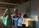 My Miss Lilly with Mark and Rosemary Hennig May 2 at Churchill Downs