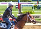 Audible trains May 25 at Belmont Park