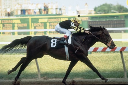Seattle Slew wins the 1977 Preakness Stakes