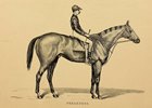 Preakness
