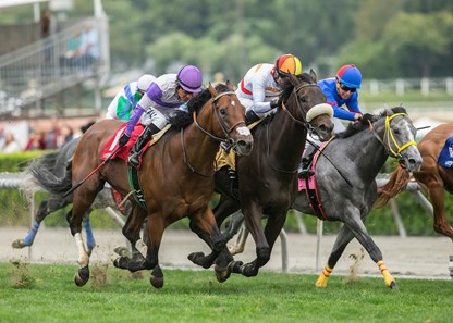 Soi Phet wins the 2018 Crystal Water Stakes