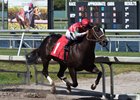 Saint Michael pulls away to a two-length score in a Gulfstream Park maiden claiming event