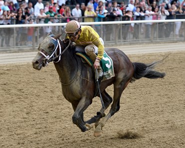 Analyze the Odds wins the 2018 Mike Lee Stakes at Belmont Park.
